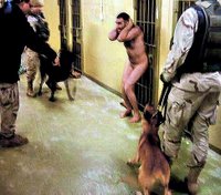 The New Yorker: An Iraqi prisoner and American military dog handlers. Other photographs show the Iraqi on the ground, bleeding. 