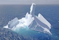 Kiwi iceberg. 
