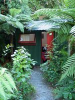 Accomodation at Nikau Lodge, NZ. Copyright: WebWeaver Productions