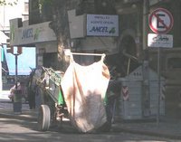 Uruguay horse carts