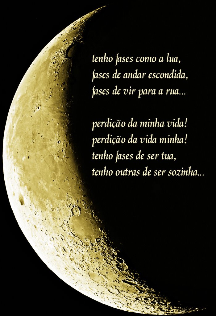 Imagem relacionada