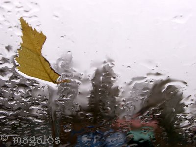 rain at window