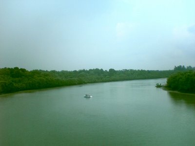 Punggol River view along Tampines Expressway