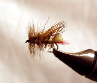 Gary's Outdoor Wanderings2: CADDIS FLY PATTERNS