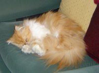 Un pequeña siesta, siempre viene bien