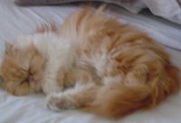 Que rica siesta!!