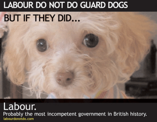 Labour Guard Dogs