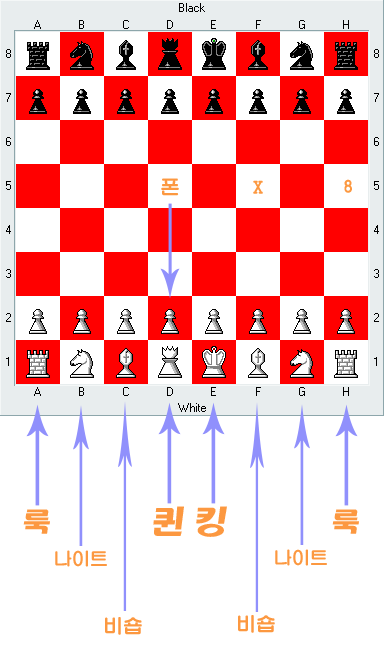 체스판과 기물들의 배치