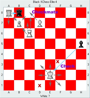 Chess: 체크(Check) / 체크메이트(Checkmate)