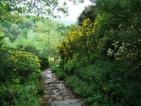 Garden vista to the Malvern Hills
