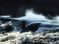 Water over the weir at Dumfries