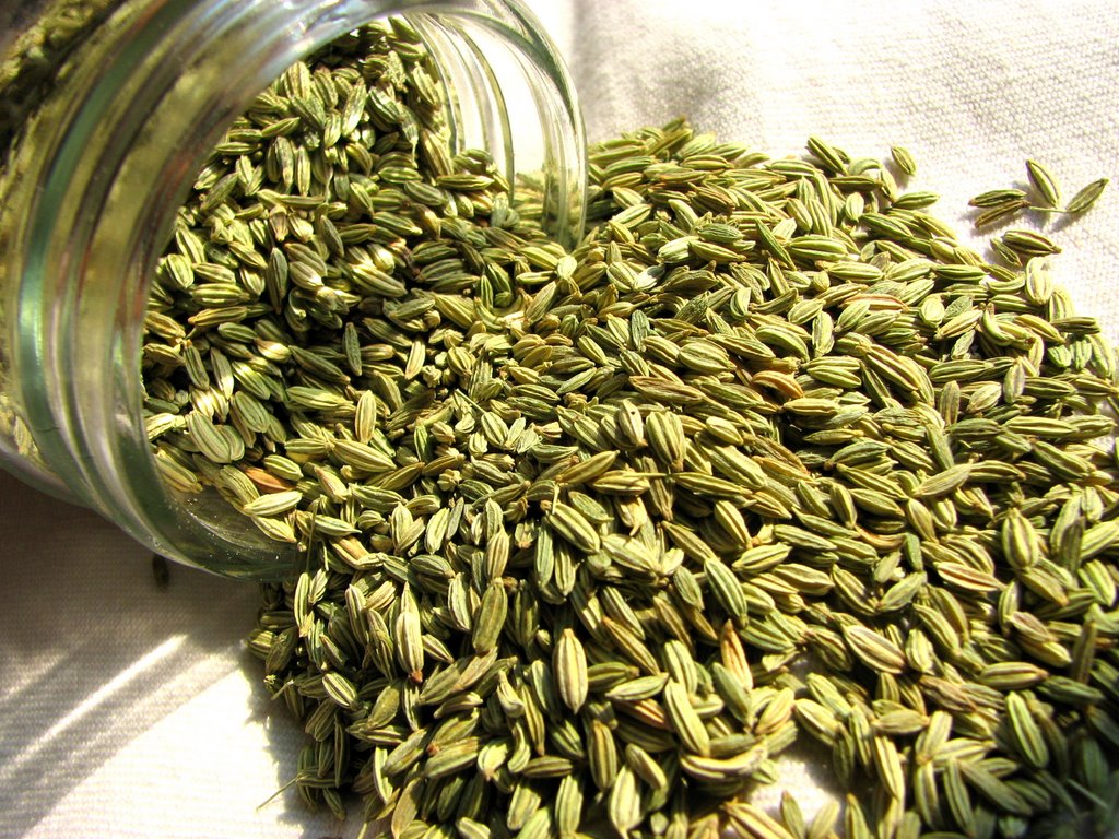 Malabar Spices...: Perunjeerakam- Fennel seed or Aniseed?