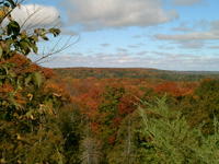 View of the Valley from Ingalls Falls Sawmill