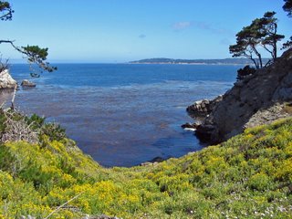 View of Pescadero Point from Point Lobos