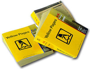 The Pondering Primate: Google To Buy Yellow Pages?