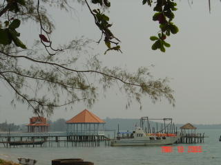 My photo