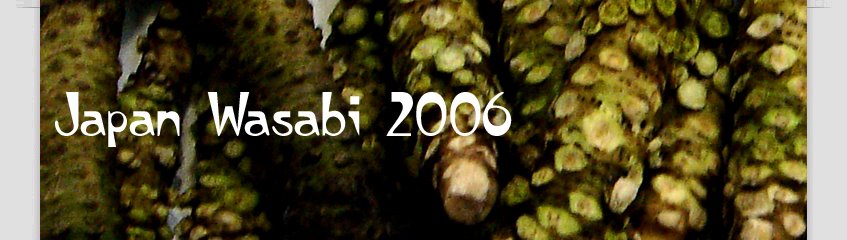 Japan Wasabi 2006