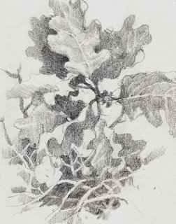 Travel sketchbook drawing of scrub oak near Zion National Park