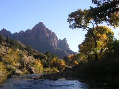 Photo of Zion National Park Fall colors