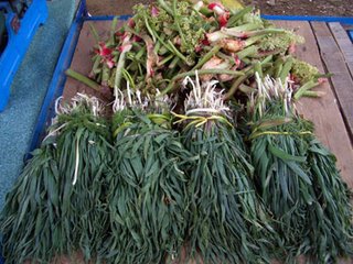 mountain herbs for sale