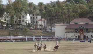Grand Finale of the polo match