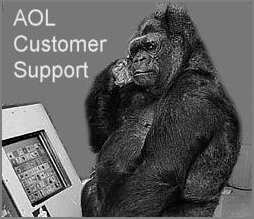 AOL Fun Support