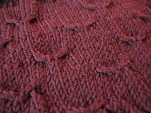 A Knit's Tale: The Traveling Plum