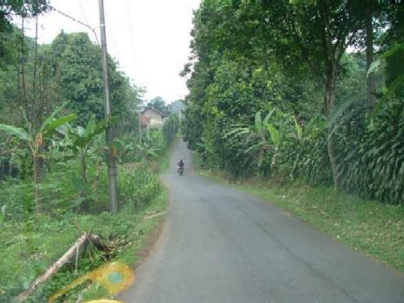 Agroland Foto  Situasi Lahan di Desa Sukajaya Kab Bogor 