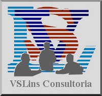 Site da VSLins
