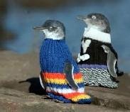 http://photos1.blogger.com/blogger/3460/1092/1600/penguin-sweaters2.jpg