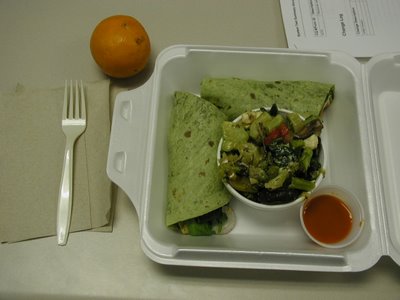 Veg Wrap & Veg Salad