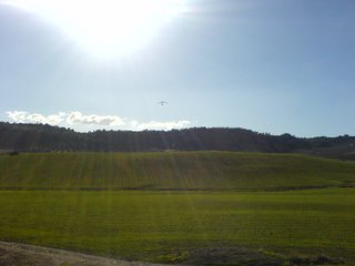 A hang glider comes in to land