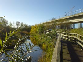 Bow Creek Ecology Park