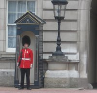 A Buckingham Palace sentry from the Coldstream Guards