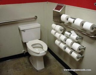 Toilet with lots of toilet rolls