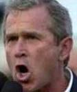 Bush Dictating