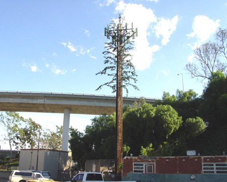 cell towers as trees