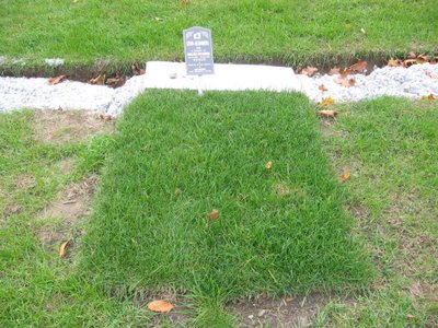 Sasha's grave at Pardes Shalom, Toronto