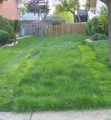 The lawn in a half-mowed condition