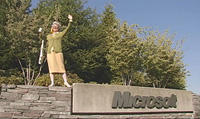 Microsoft Office crabby lady