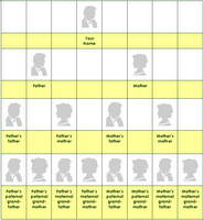 create family tree chart