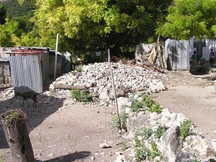Arqueologia En Republica Dominicana Noticias Arqueologicas De Republica Dominicana