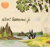  Albert Hammond Jr. - 'Yours To Keep' 
