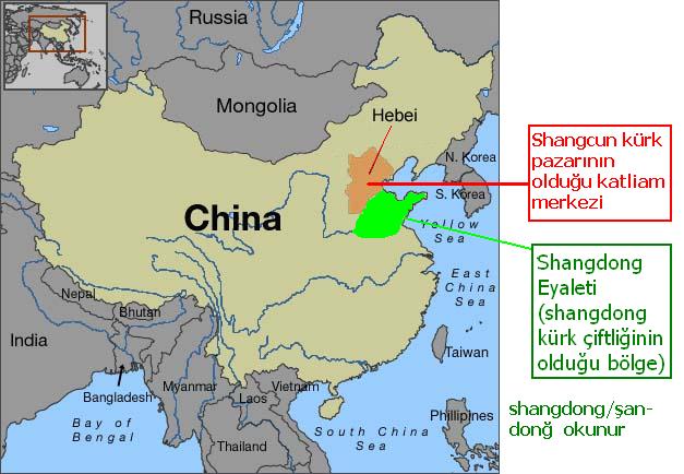 Image result for Shangcun