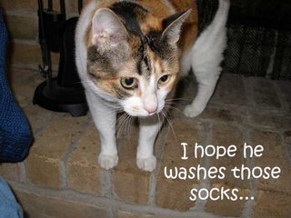 I hope that's your sock I smell...