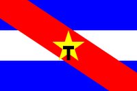 Tupamaro flag