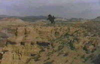 Zorro on his horse in the desert