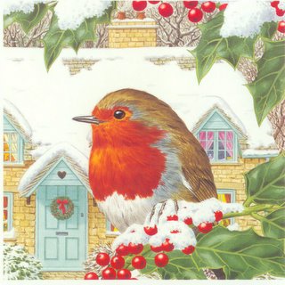 english robin on christmas card