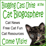 http://catblogosphere.blogspot.com/