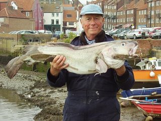 whitby cod wreck and reef fishing